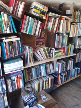 test.lotte-bibliothek.org